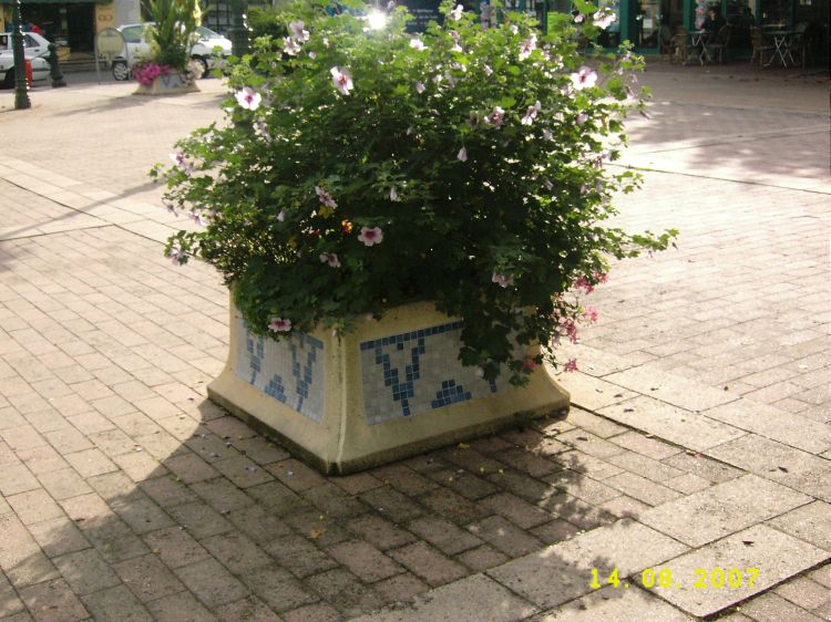 jardini&egrave;re